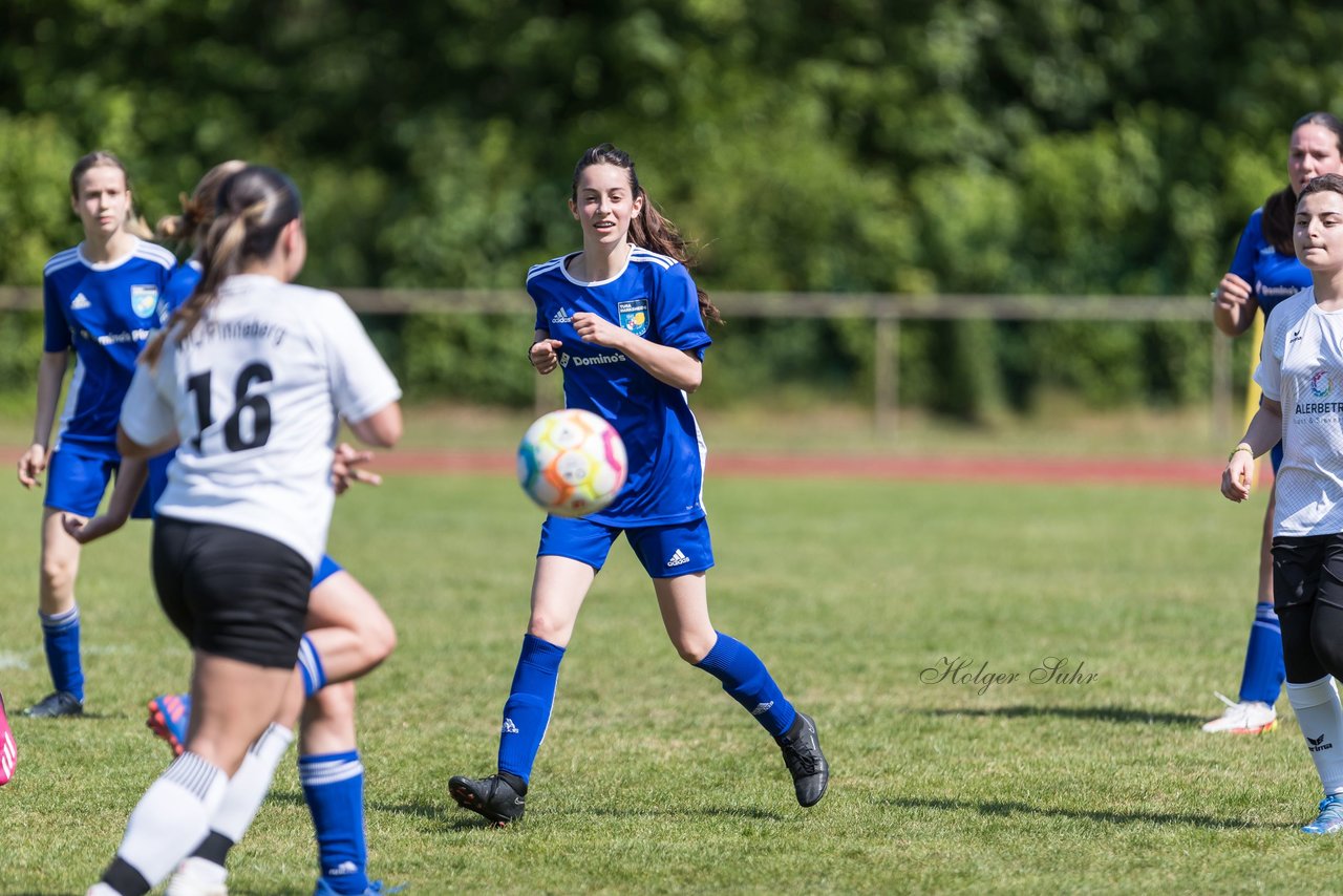 Bild 261 - wBJ VfL Pinneberg - Harksheide : Ergebnis: 2:1